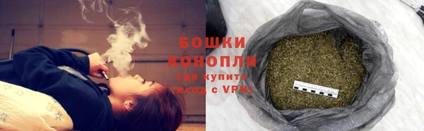 крисы Майский