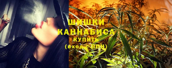 a pvp Магас
