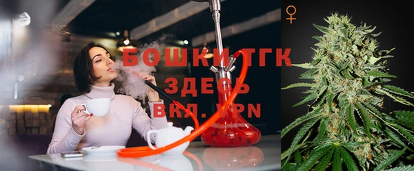 a pvp Магас