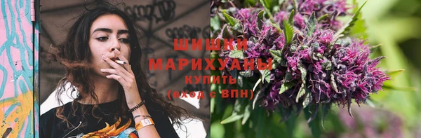 a pvp Магас