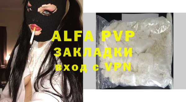 прущие грибы Барнаул