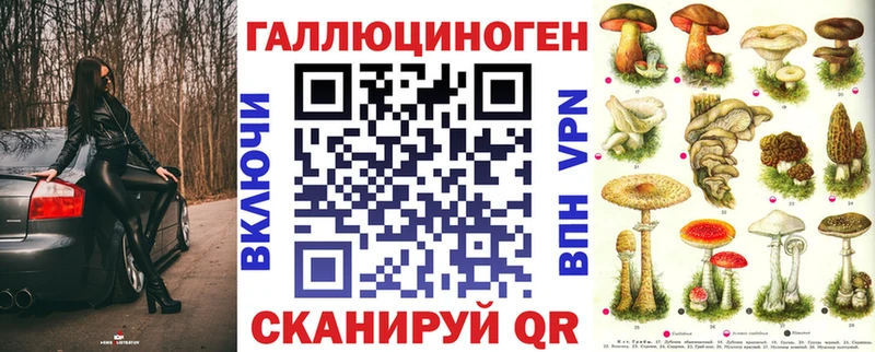 закладка  hydra вход  Псилоцибиновые грибы MAGIC MUSHROOMS  Алагир 